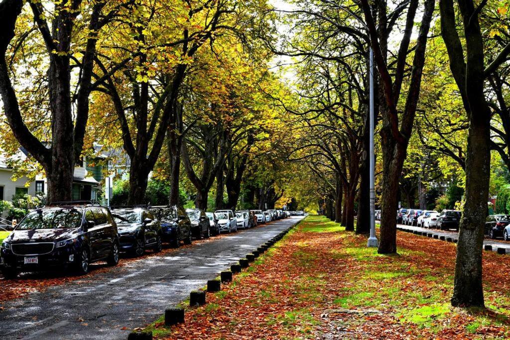 U-District Warmth 8 Mins Walk To Uw Villa Seattle Exterior foto